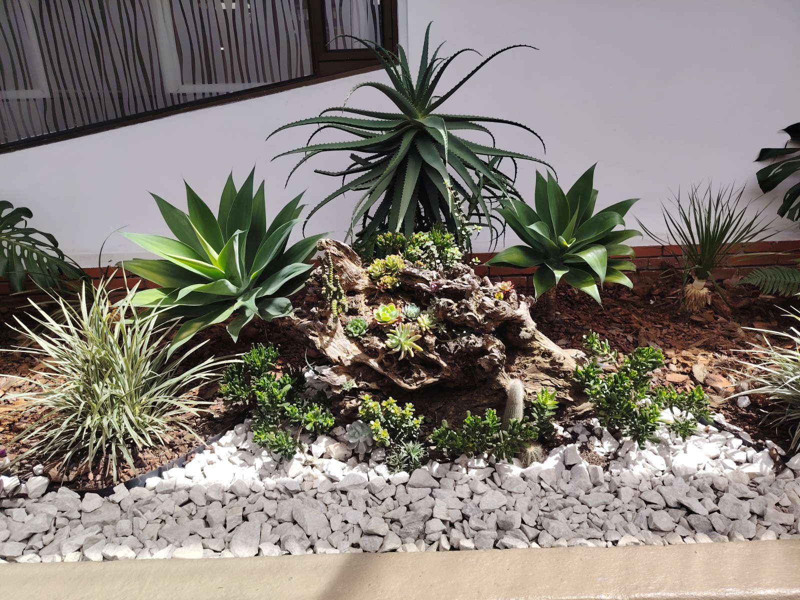Proyecto de paisajismo integral
